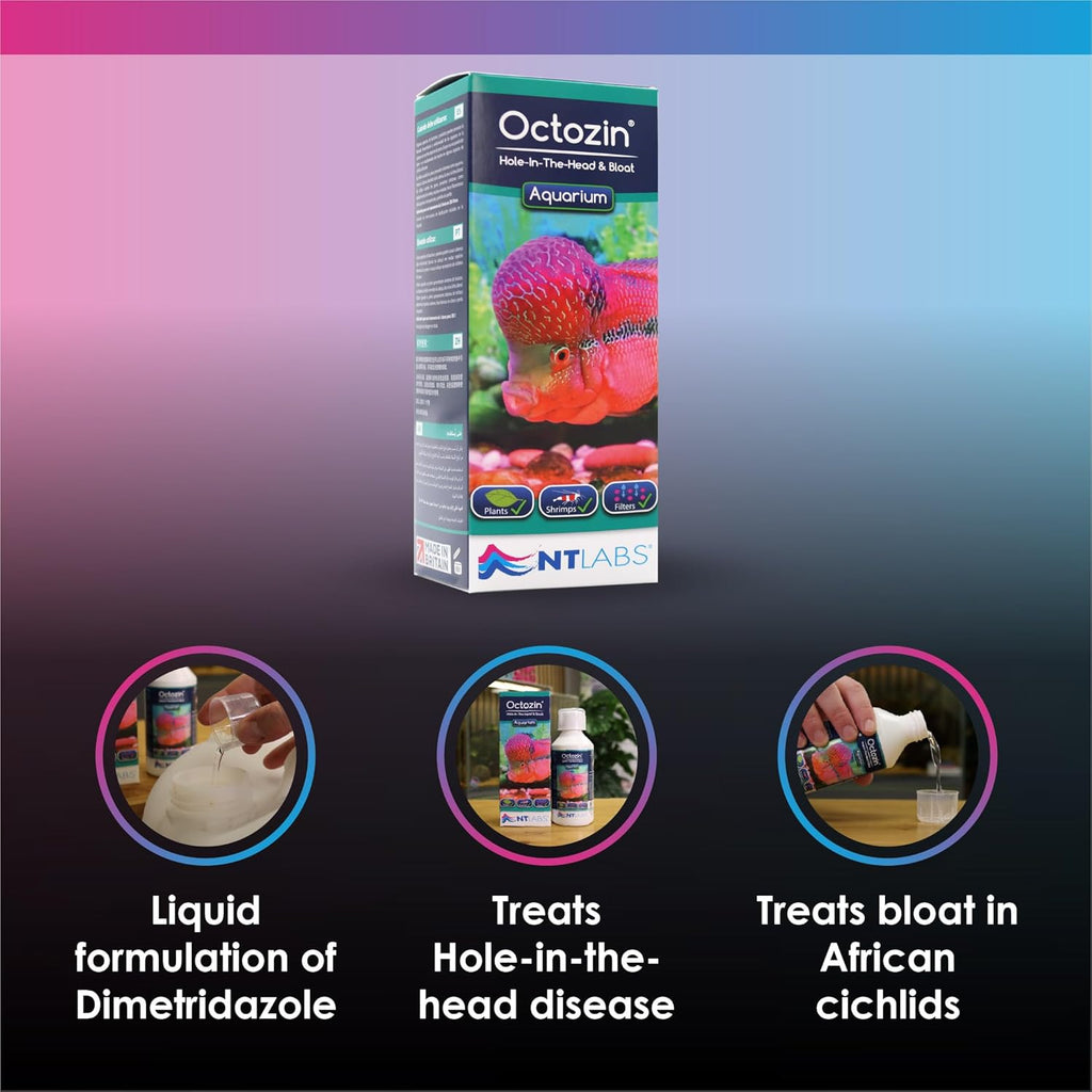NT Labs Octozin WaterTreatment – 250ml, 500ml, 1L Bloat & Hole-in-the-Head