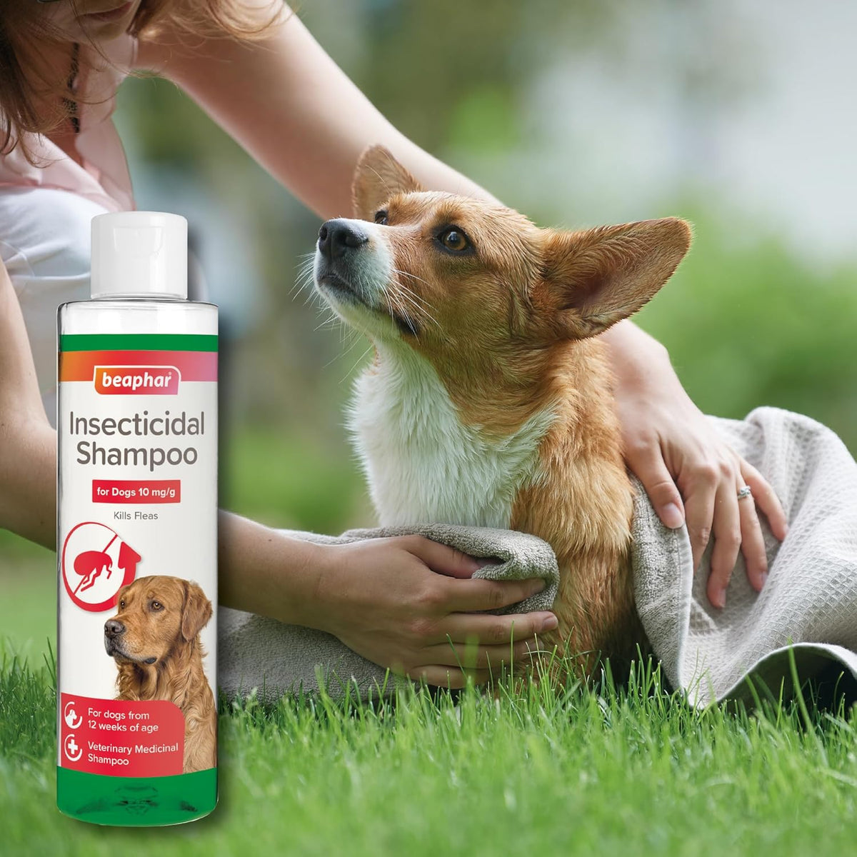 Beaphar Insecticidal Flea Shampoo 250ml
