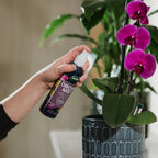 Westland Orchid Mist Spray 250ml - Nutrient-Rich Hydration