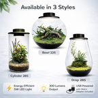 BioArt Drop 285 Black Nano Garden LED Plant Terrarium Dome