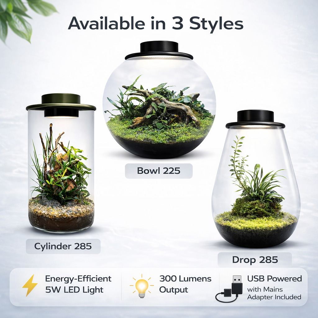 BioArt Drop 285 Black Nano Garden LED Plant Terrarium Dome