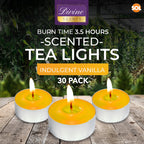 Scented Tea Light Candles | 4 Hour Burn Fragrance | 15-30 Pack