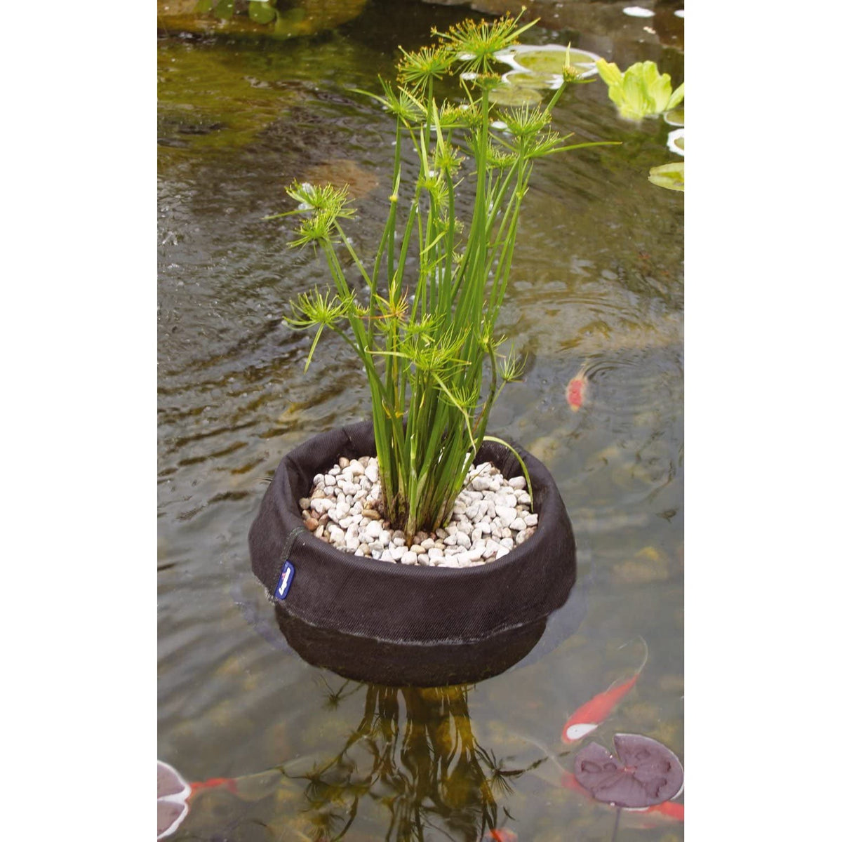Laguna Floating Plant Basket Kit - Round 2-Pack