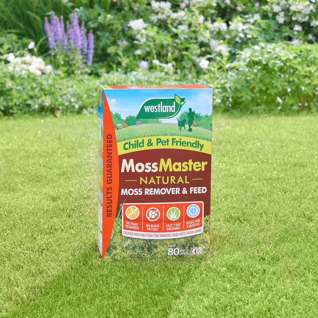 Westland Moss Master Lawn Feed & Moss Remover 80m² Natural Treatment