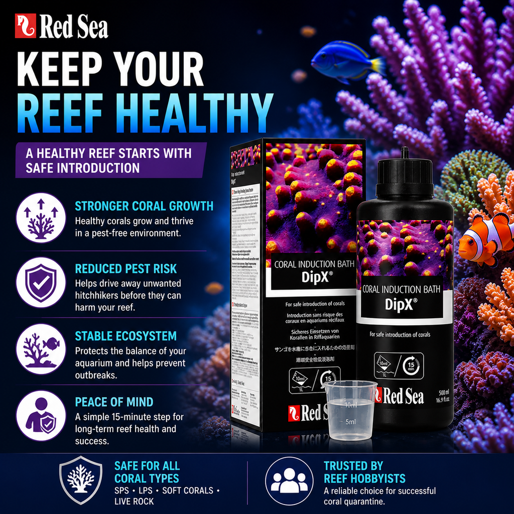 Red Sea DipX Coral Dip Solution for Reef Aquariums