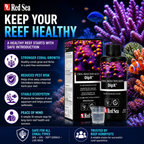Red Sea DipX Coral Dip Solution for Reef Aquariums