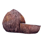 Exo Terra Coconut Hide & Water Dish