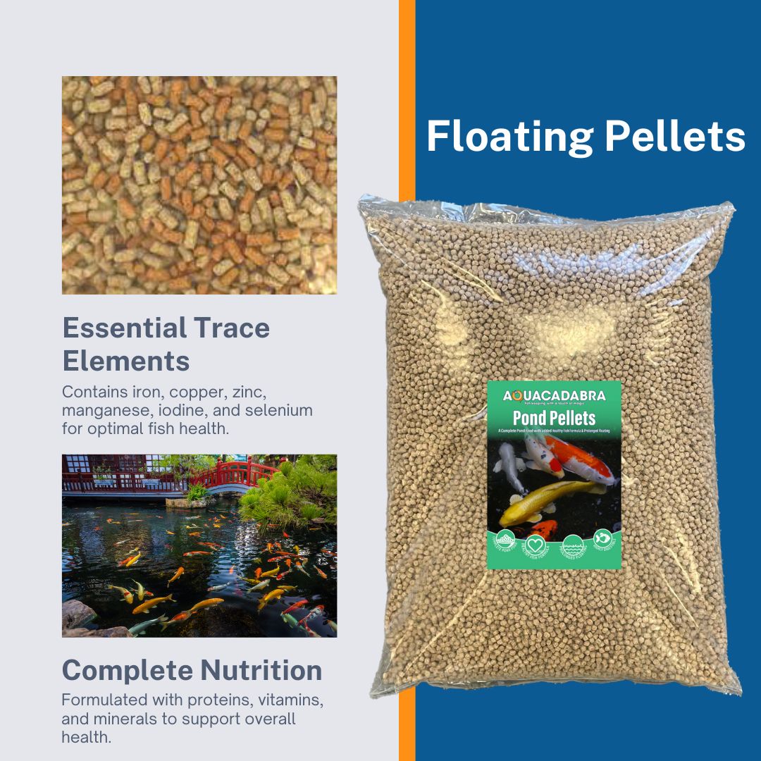 Aquacadabra Pond Food 2kg & P21 Auto Feeder