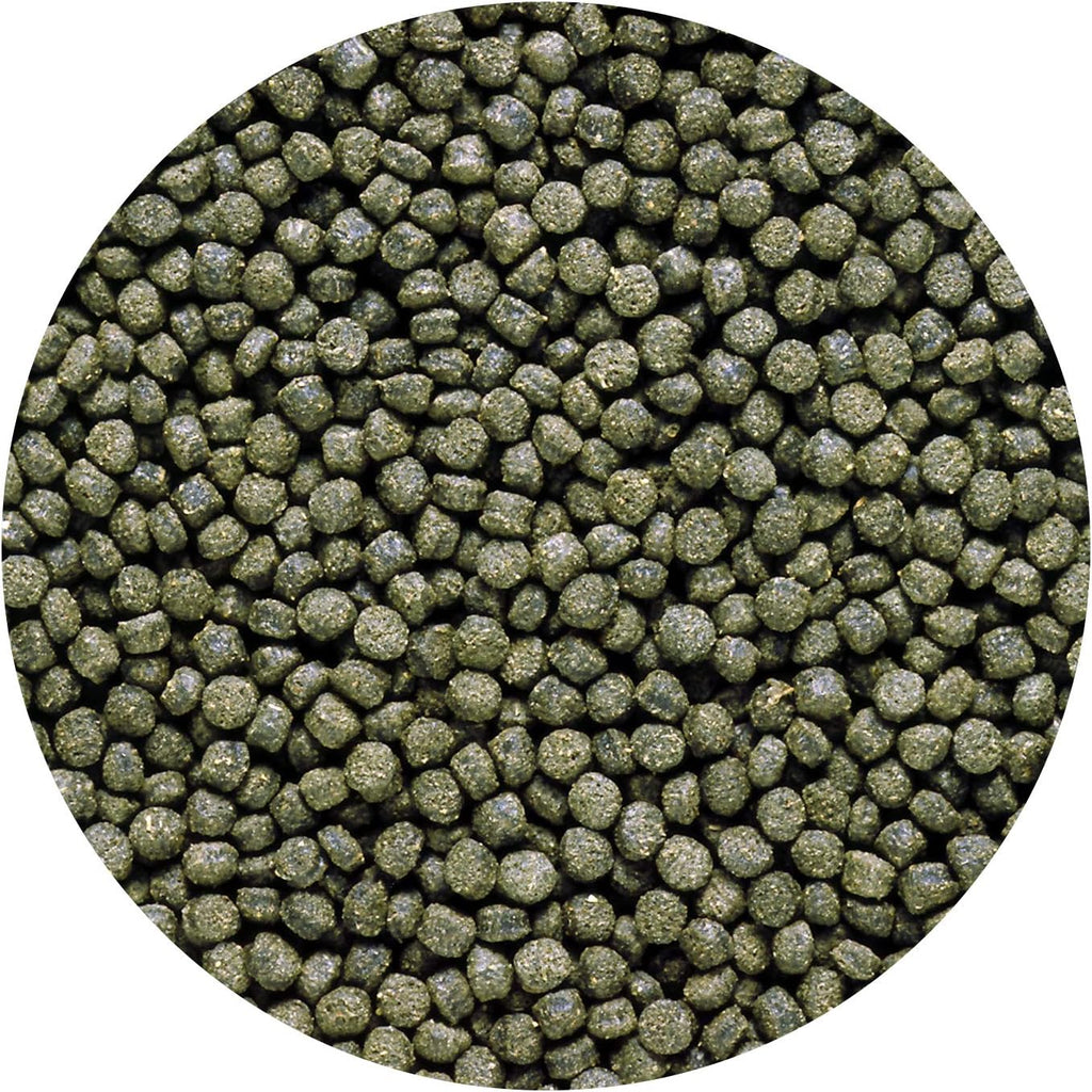 Hikari Cichlid Excel Sinking Mini Pellets