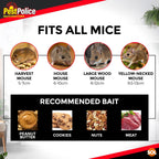 Humane Mouse Trap | Live Catch Rodent Cage Indoor Use