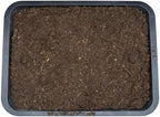 Arcadia EarthMix Prairie 10L Bioactive Substrate Reptile Amphibian Vivarium Soil