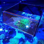 Flipper Floating Aquarium Top-Down Viewer