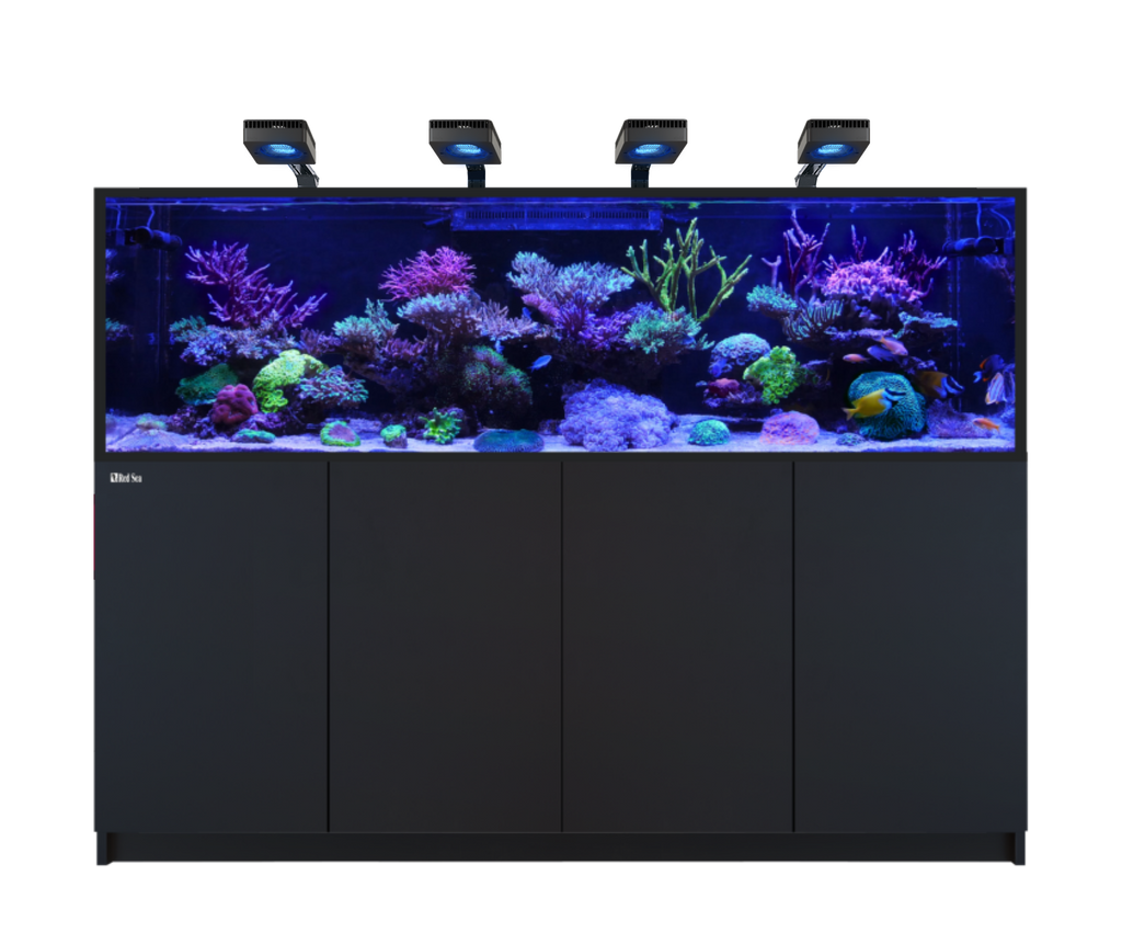 Red Sea Reefer MAX S-1000 G3 Aquarium