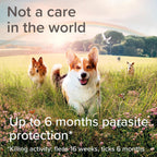 Beaphar Canishield Medicated Collar 4-6 Months up to 65cm