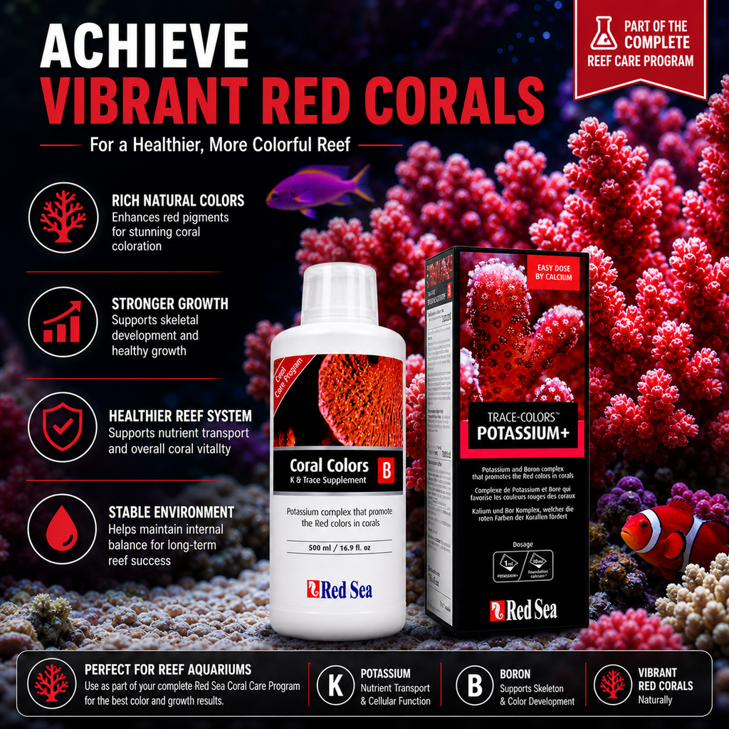 Red Sea Reef Colours B 500ml - R22053