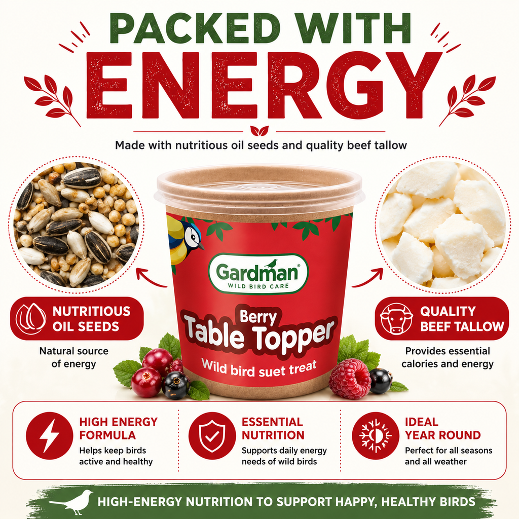 Gardman Table Toppers Berry High Energy Wild Bird Treats Food